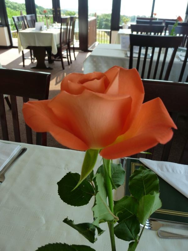 Kirkton of Largo Monturpie Guest House מראה חיצוני תמונה